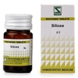 Dr.Willmar Schwabe Silicea Biochemic 6X Tablets, 20 gm
