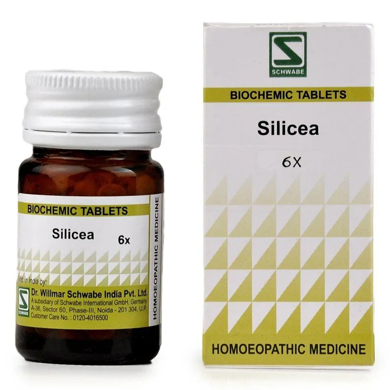 Biochemic 19 Buy Dr.Willmar Schwabe Silicea Biochemic 6X Tablets, 20 gm | 19 Minutes ...