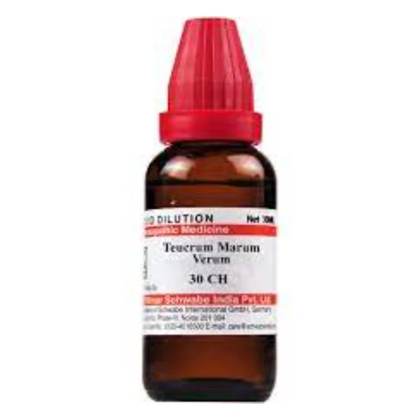 Dr.Willmar Schwabe Teucrium Marum Verum 30 CH Dilution, 30 ml, Pack of 1