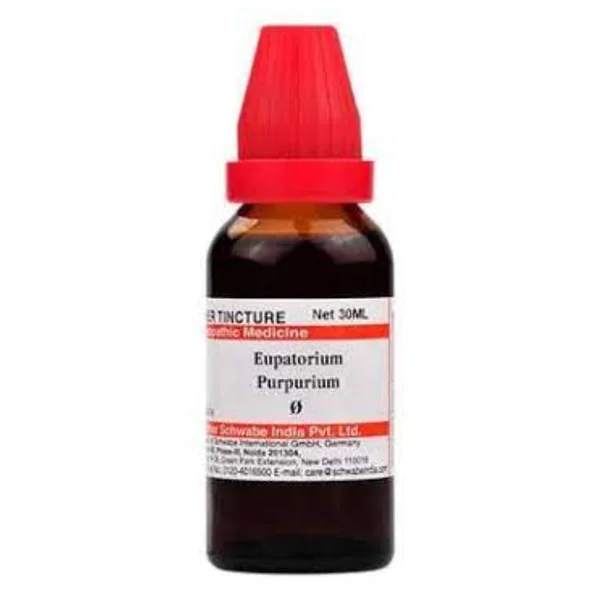 Dr.Willmar Schwabe Eupatorium Purpurium Q Mother Tincture, 30 ml