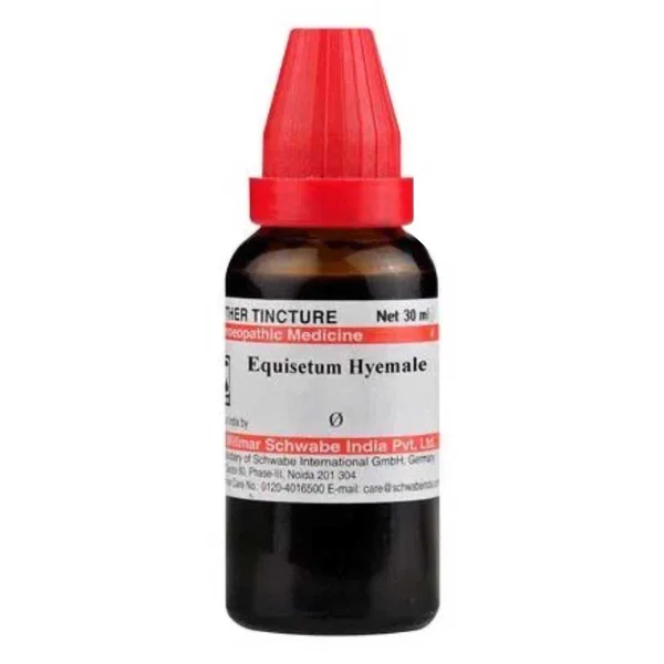 Dr.Willmar Schwabe Equisetum Hyemale Q Mother Tincture, 30 ml
