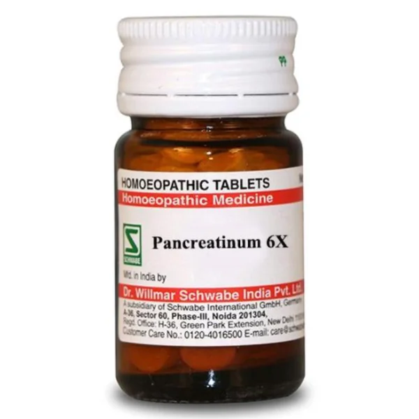 Dr.Willmar Schwabe Pancreatinum 6X Tablets, 20 gm