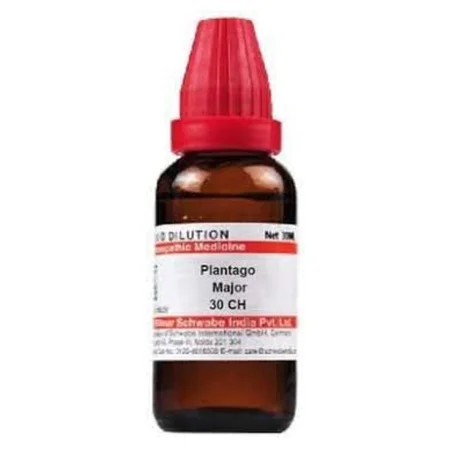 Dr.Willmar Schwabe Plantago Major 30 CH Dilution, 30 ml
