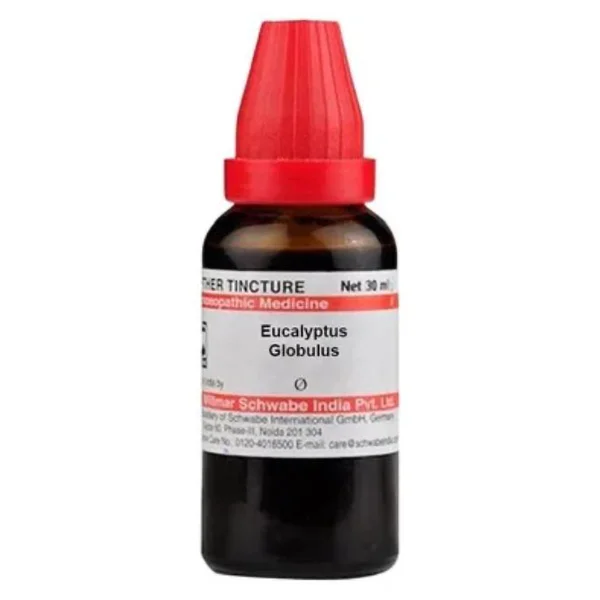 Dr.Willmar Schwabe Eucalyptus Globulus Q Mother Tincture, 30 ml