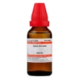 Dr.Willmar Schwabe Carbo Animalis 200 CH Dilution, 30 ml