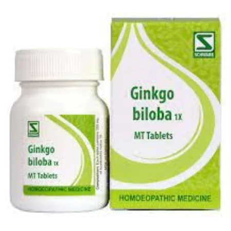Dr.Willmar Schwabe Ginko Biloba 1X Tablets, 20 gm