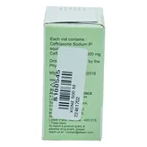 XONE 500MG INJECTION VIAL DRY, Pack of 1 Injection