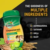 Zandu Chyavanprash Avaleha, 900 gm, Pack of 1
