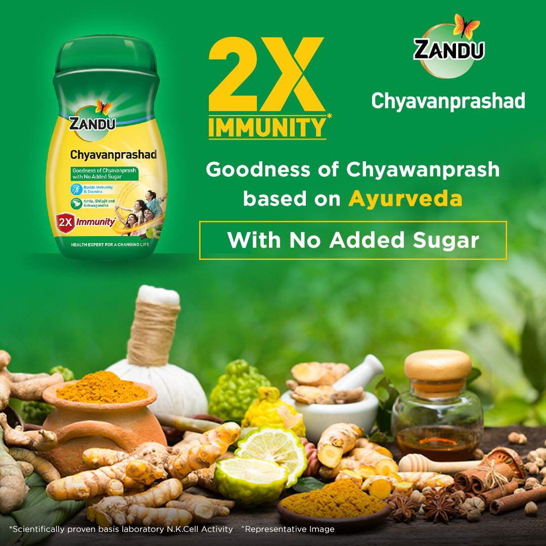 Zandu Sugar Free Chyavanprashad, 900 gm, Pack of 1 Zandu Sugar Free Chyavanprashad, 900 gm, Pack of 1
