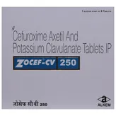 Zocef CV 250 Tablet 6's, Pack of 6 TABLETS