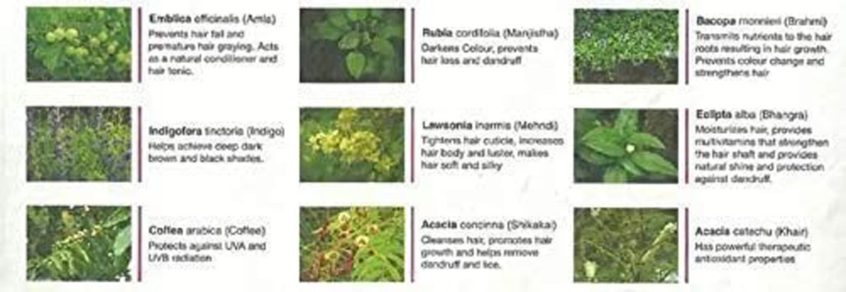 Altris Hd Hair Hue Therapy Soft Black hair Color, 1 Count, Pack of 1 Altris Hd Hair Hue Therapy Soft Black hair Color, 1 Count, Pack of 1