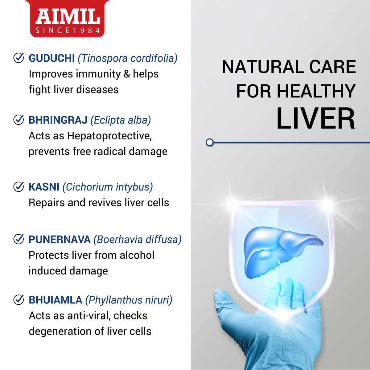 Aimil Amlycure DS Syrup 200 ml, Pack of 1 Aimil Amlycure DS Syrup 200 ml, Pack of 1