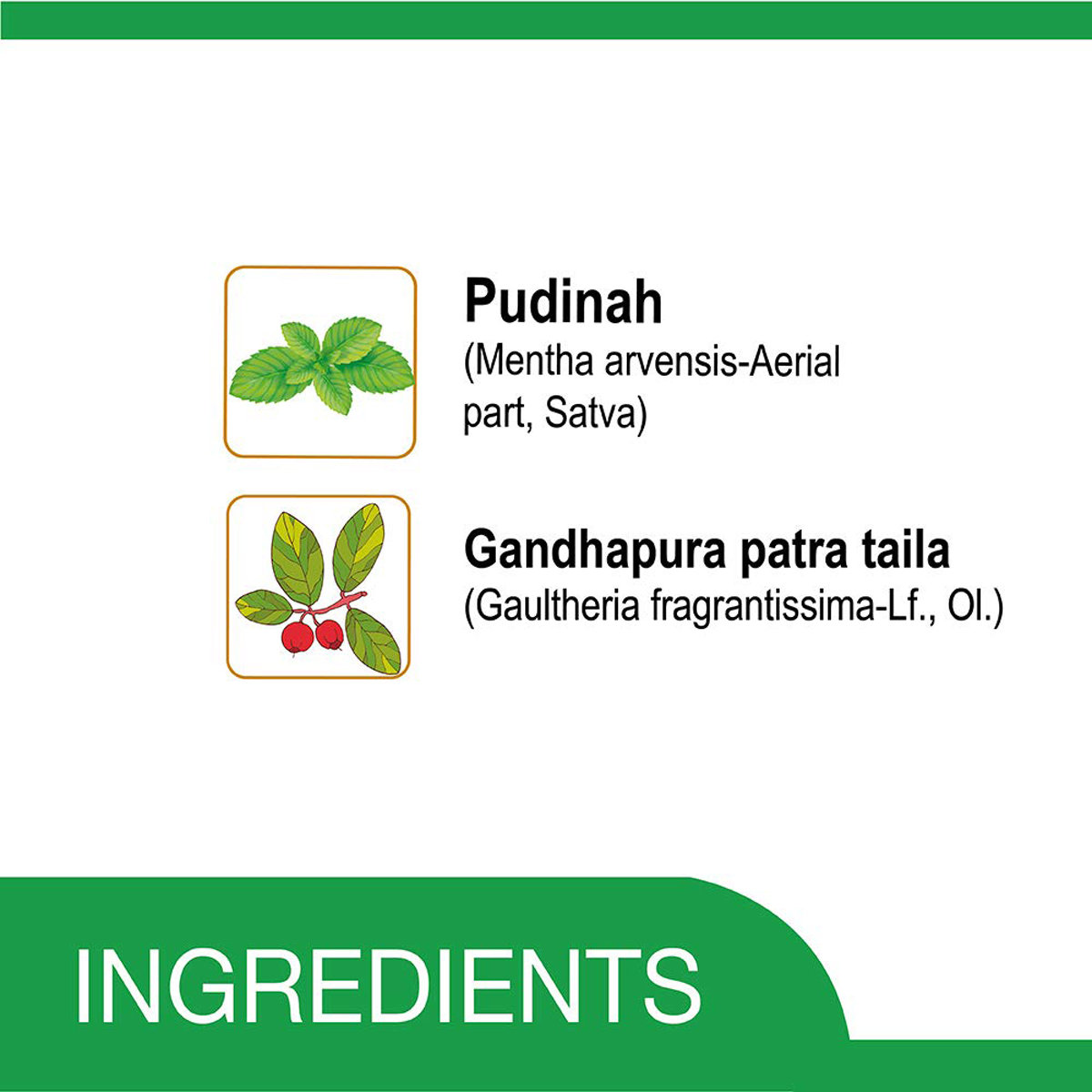 Amrutanjan Double Power Strong Pain Balm, 27.5 ml, Pack of 1 Amrutanjan Double Power Strong Pain Balm, 27.5 ml, Pack of 1