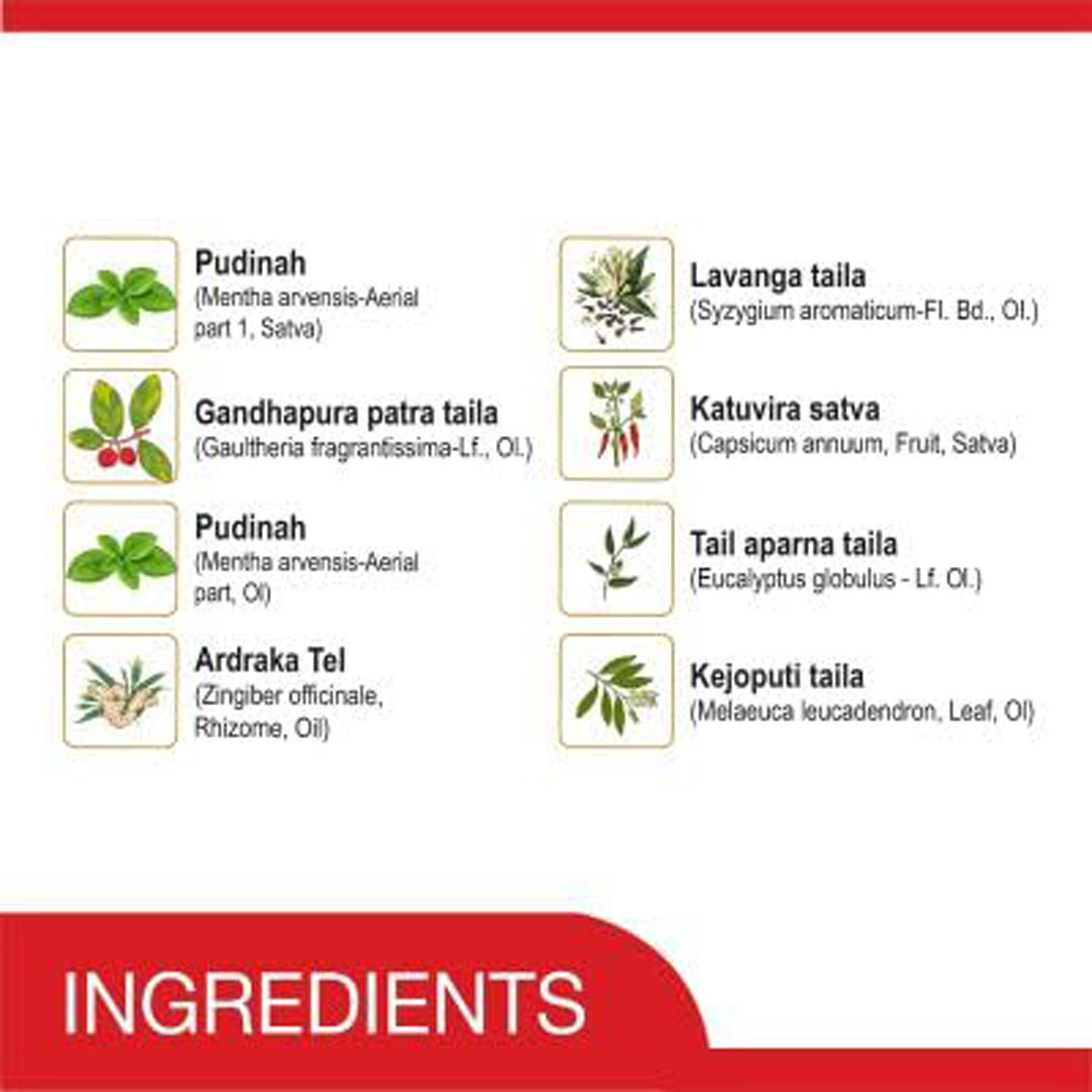 Amrutanjan Maha Strong Pain Balm, 50 ml, Pack of 1 Amrutanjan Maha Strong Pain Balm, 50 ml, Pack of 1