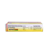 Anaproct Ointment 15 gm, Pack of 1 OINTMENT
