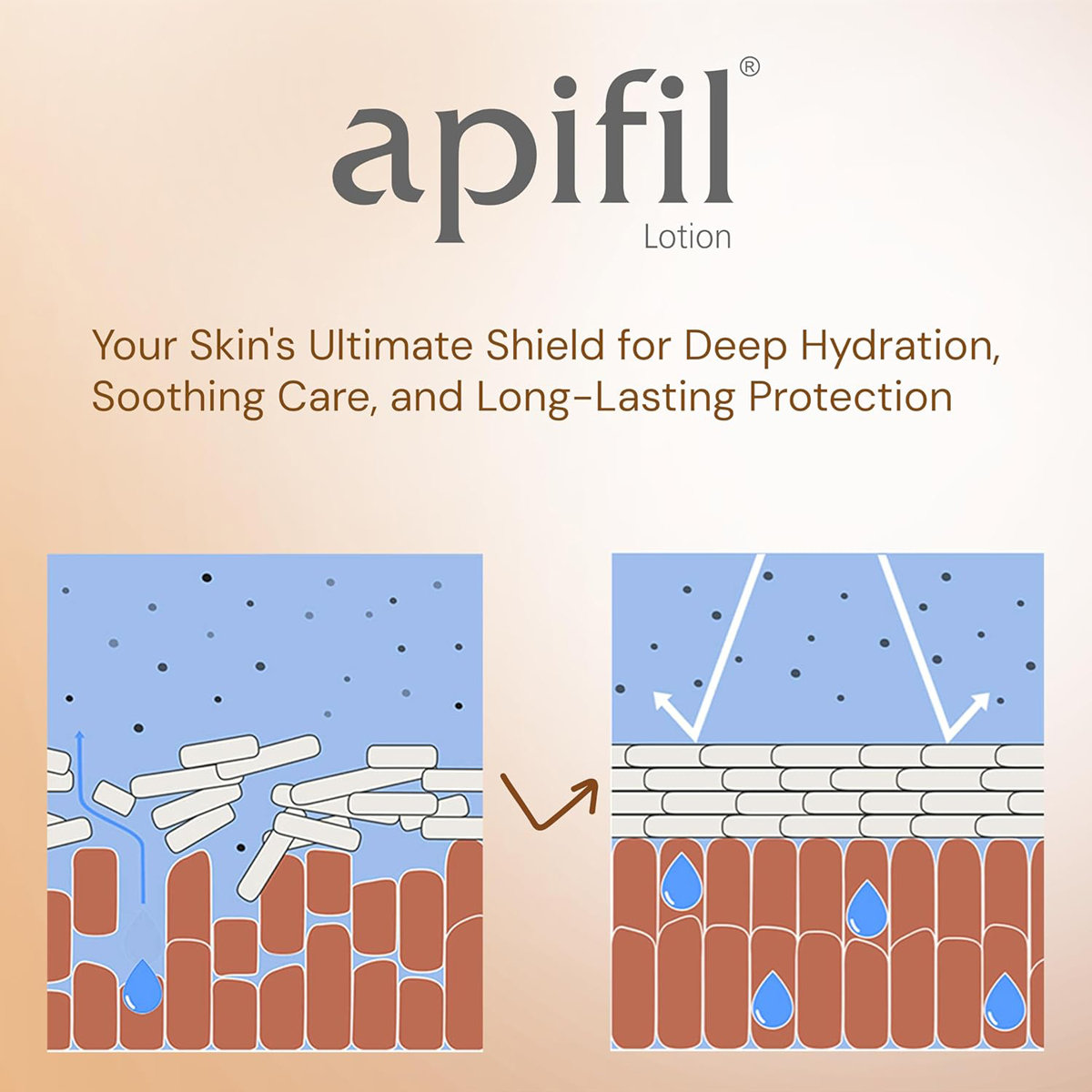 Apifil Lotion 100 ml | Hesperidine, GLA, Sodium PCA | Intensive Ceramide Barrier Repair Lotion | For Atopic Dermatitis | For Dry & Sensitive Skin, Pack of 1 Apifil Lotion 100 ml | Hesperidine, GLA, Sodium PCA | Intensive Ceramide Barrier Repair Lotion | For Atopic Dermatitis | For Dry & Sensitive Skin, Pack of 1