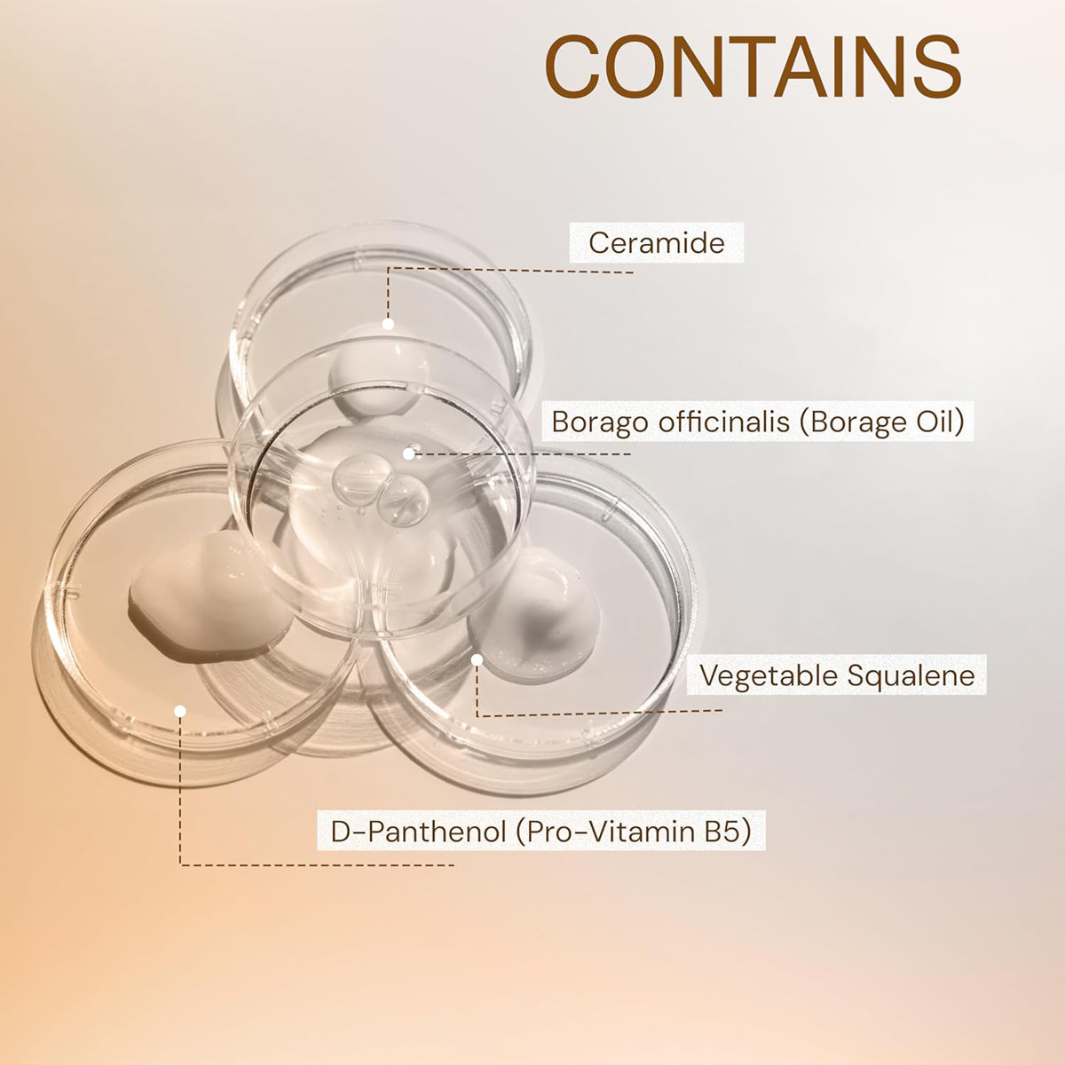 Apifil Lotion 100 ml | Hesperidine, GLA, Sodium PCA | Intensive Ceramide Barrier Repair Lotion | For Atopic Dermatitis | For Dry & Sensitive Skin, Pack of 1 Apifil Lotion 100 ml | Hesperidine, GLA, Sodium PCA | Intensive Ceramide Barrier Repair Lotion | For Atopic Dermatitis | For Dry & Sensitive Skin, Pack of 1