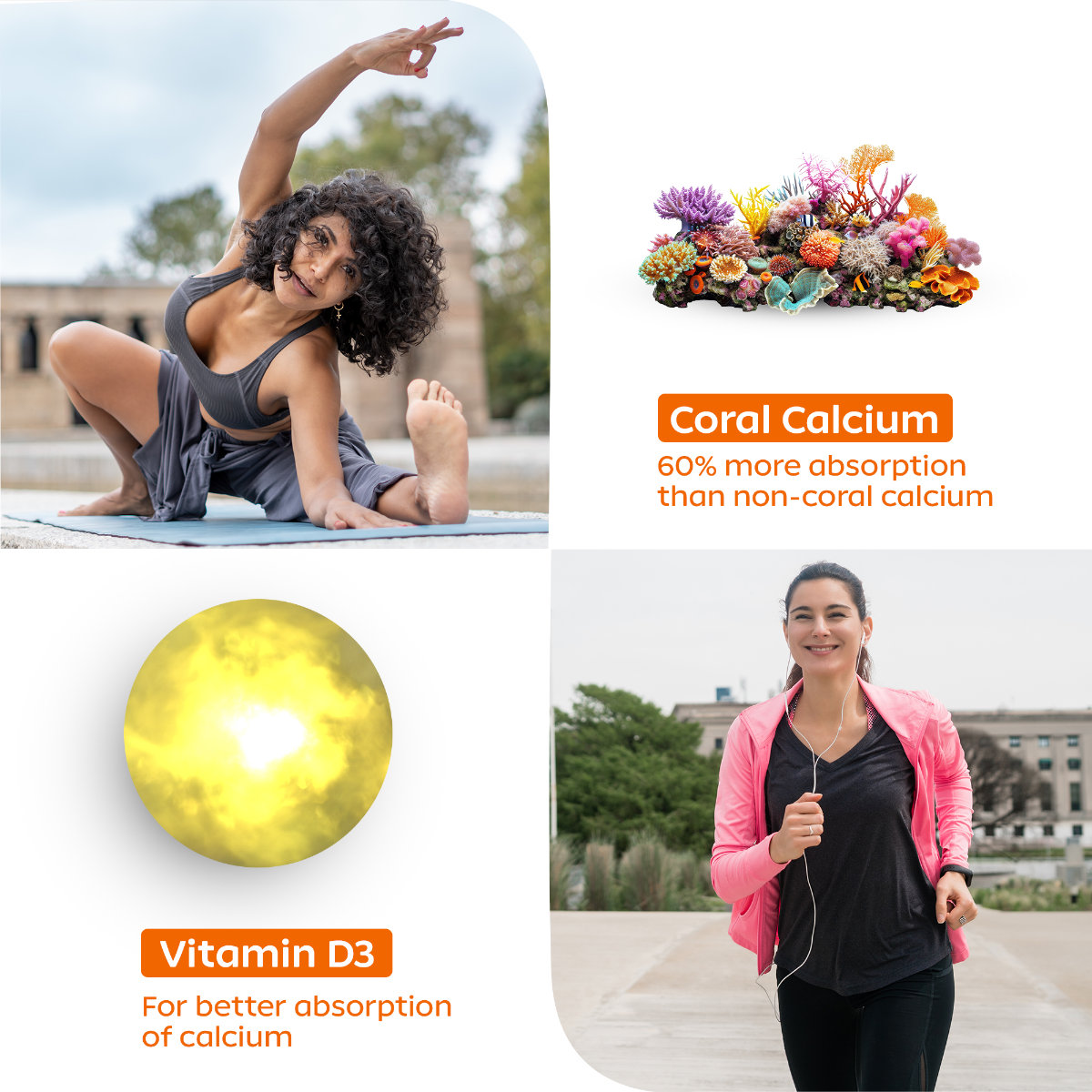 Arth Bone Health Support | Coral Calcium + Vit D3 | 60 Veg Tablets, Pack of 1 Arth Bone Health Support | Coral Calcium + Vit D3 | 60 Veg Tablets, Pack of 1