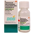 Augmentin DDS Syrup 30 ml