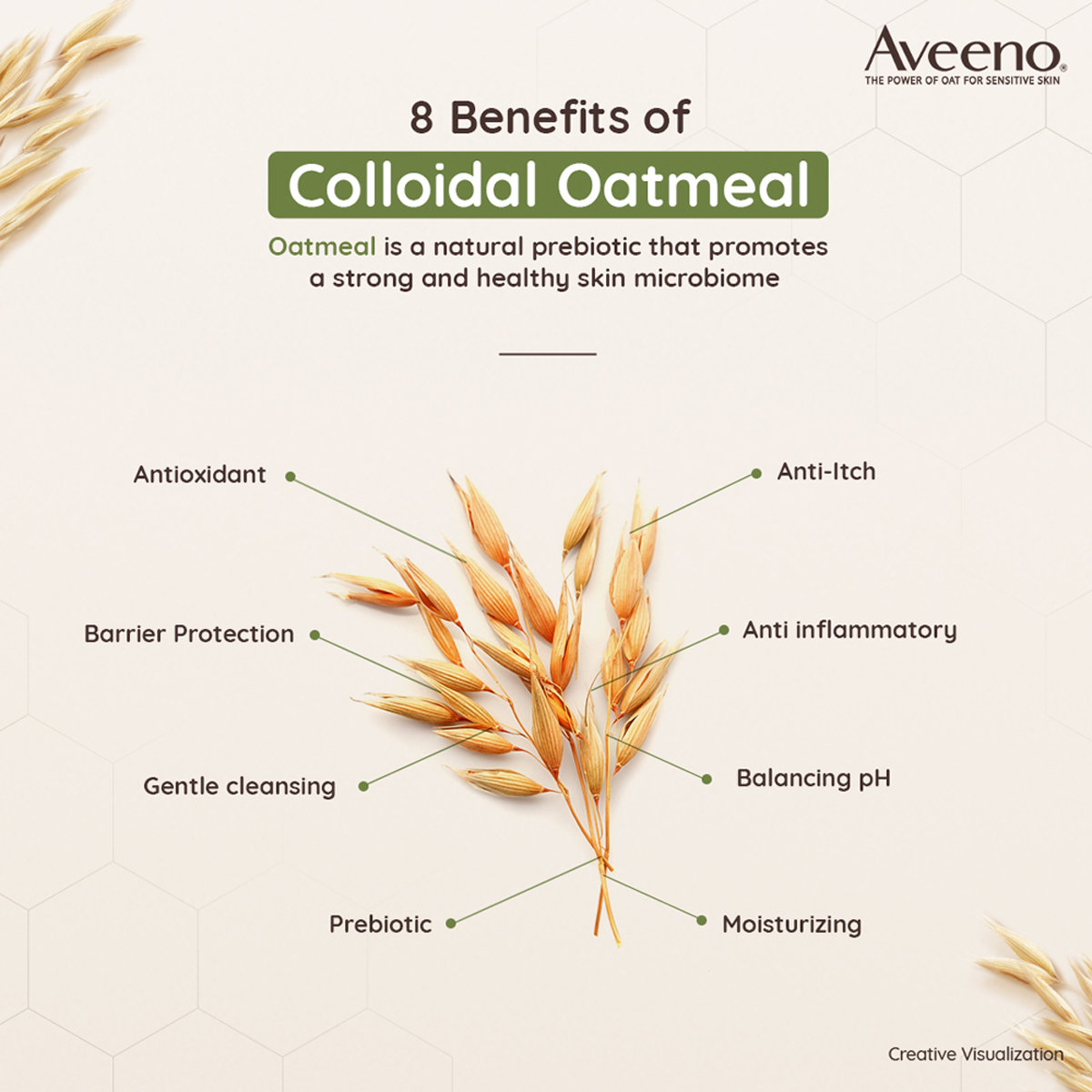 Aveeno Daily Moisturizing Lotion, 354 ml, Pack of 1 Aveeno Daily Moisturizing Lotion, 354 ml, Pack of 1