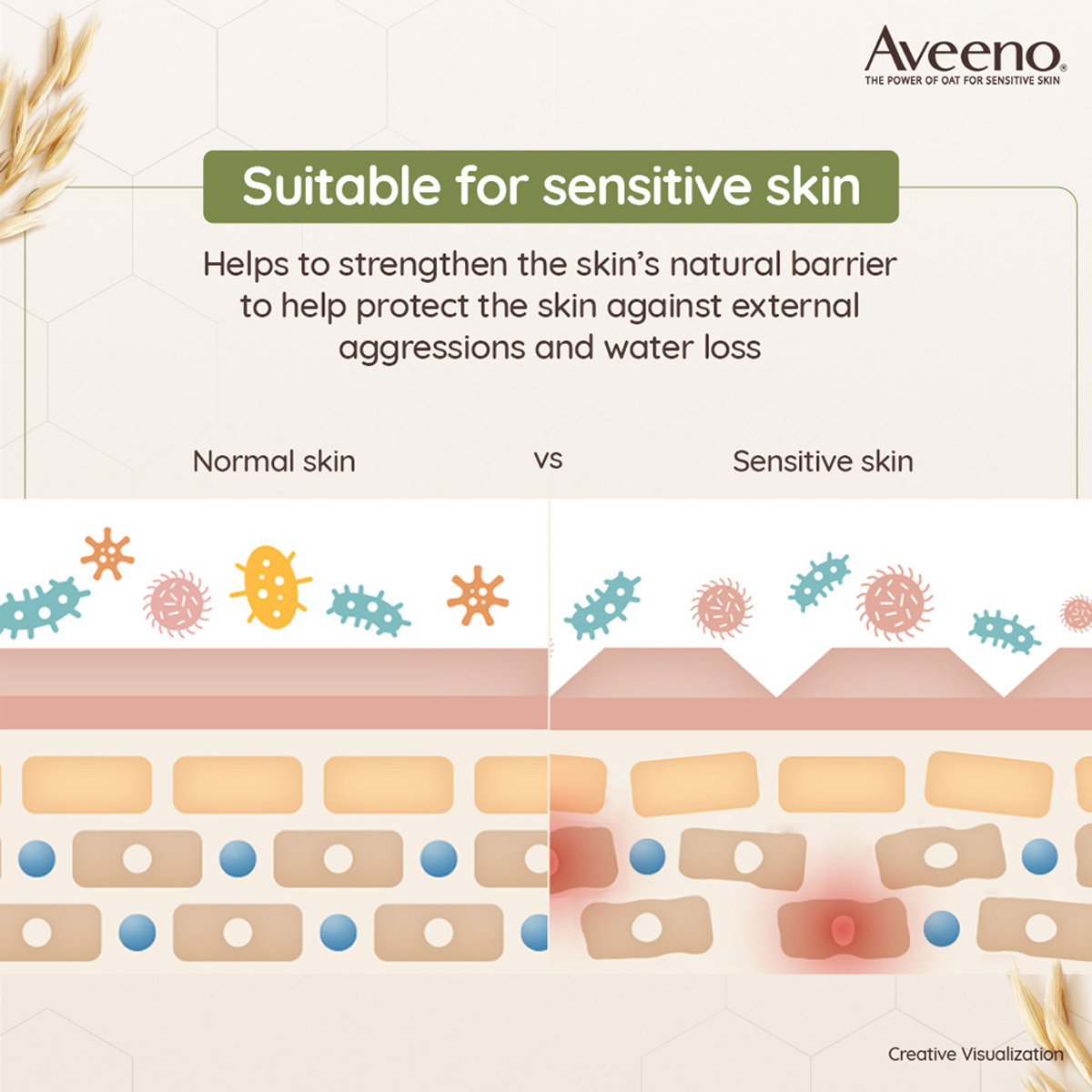 Aveeno Daily Moisturizing Lotion, 354 ml, Pack of 1 Aveeno Daily Moisturizing Lotion, 354 ml, Pack of 1