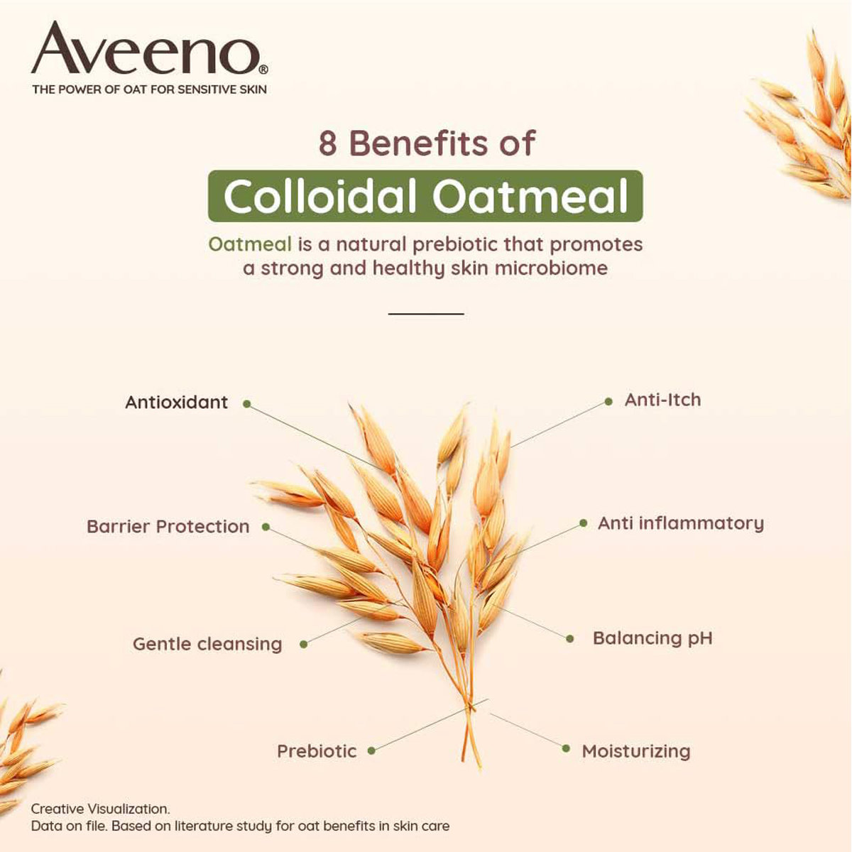 Aveeno Daily Moisturizing Body Wash 354 ml | Prebiotic Colloidal Oat | Nourishes Skin | For Normal & Dry Sensitive Skin, Pack of 1 Aveeno Daily Moisturizing Body Wash 354 ml | Prebiotic Colloidal Oat | Nourishes Skin | For Normal & Dry Sensitive Skin, Pack of 1