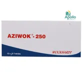 Aziwok-250 Tablet 10's, Pack of 10 TABLETS