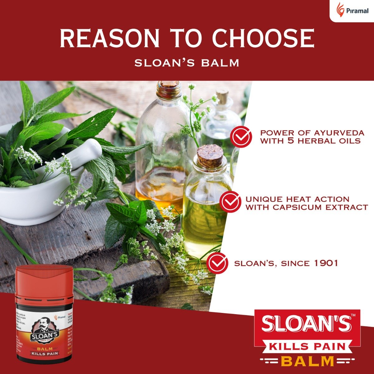 Sloan's Balm, 10 gm, Pack of 1 Sloan's Balm, 10 gm, Pack of 1