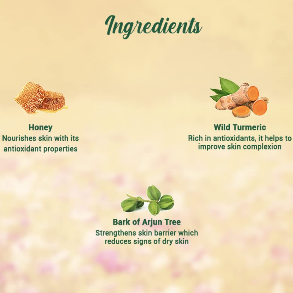 Biotique Honey Gel Soothe & Nourish Foaming Face Wash 100 ml | Honey, Wild Turmeric, Bark Of Arjun Tree | Hydrates, Soothes, Nourishes & Softens Skin | 100% Botanical Extracts | For All Skin Type, Pack of 1 Biotique Honey Gel Soothe & Nourish Foaming Face Wash 100 ml | Honey, Wild Turmeric, Bark Of Arjun Tree | Hydrates, Soothes, Nourishes & Softens Skin | 100% Botanical Extracts | For All Skin Type, Pack of 1