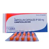Campicillin Capsule 10's, Pack of 10 CapsuleS