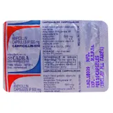 Campicillin Capsule 10's, Pack of 10 CapsuleS