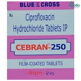 Cebran 250 mg Tablet 10's, Pack of 10 TabletS