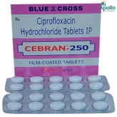 Cebran 250 mg Tablet 10's, Pack of 10 TabletS