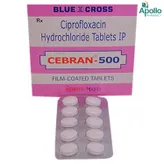 Cebran 500 mg Tablet 10's, Pack of 10 TabletS