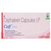 Ceff 250 mg Capsule 10's, Pack of 10 CapsuleS