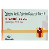 Cefakind-CV 250 Tablet 10's, Pack of 10 TABLETS