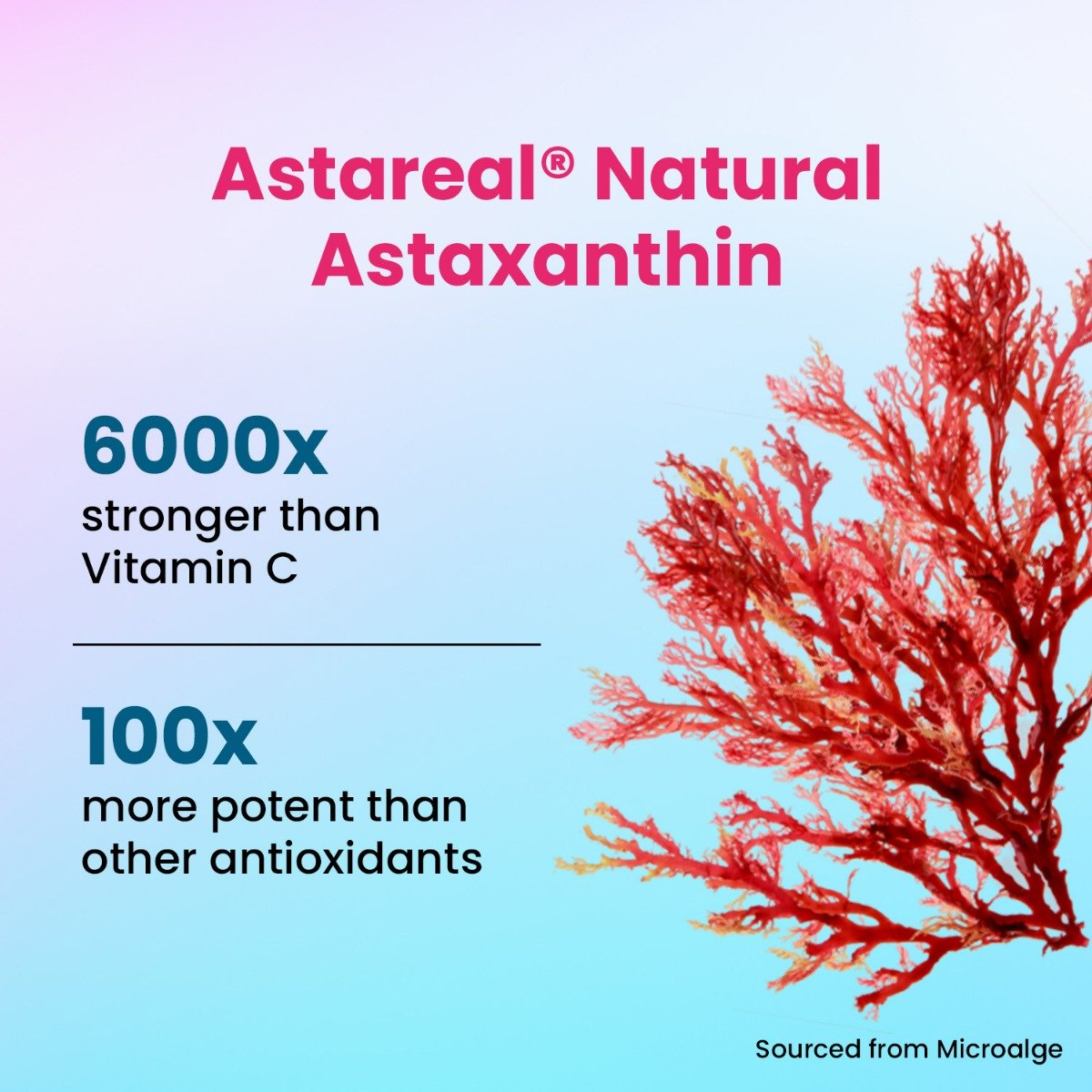 CHICNUTRIX Collagen Lemonade Powder, 237.50 gm | Anti-Ageing, Firm & Youthful Skin 25 Servings, Pack of 1 CHICNUTRIX Collagen Lemonade Powder, 237.50 gm | Anti-Ageing, Firm & Youthful Skin 25 Servings, Pack of 1