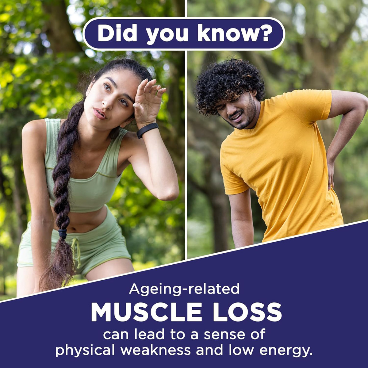 Complan Viemax Vanilla Flavour Nutrition Powder, 400 gm Jar, Pack of 1 Complan Viemax Vanilla Flavour Nutrition Powder, 400 gm Jar, Pack of 1