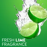 Dettol Lime Fresh Disinfectant Liquid, 550 ml, Pack of 1