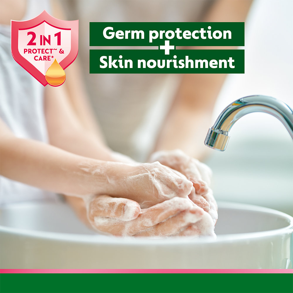 Dettol Skin Care Liquid Hand Wash 250 ml | pH Balancced | 10X Better Germ Protection | Everyday Protection | IMA Recommended, Pack of 1 Dettol Skin Care Liquid Hand Wash 250 ml | pH Balancced | 10X Better Germ Protection | Everyday Protection | IMA Recommended, Pack of 1