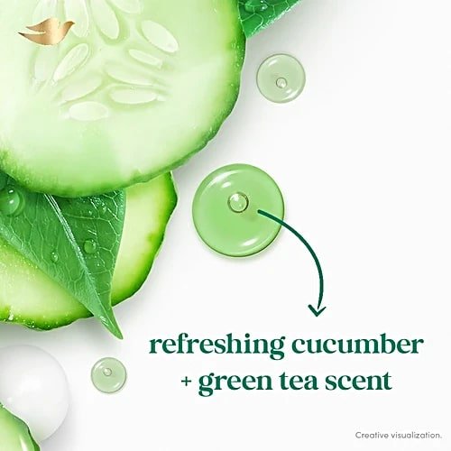 Dove Refreshing Body Wash 300 ml | With Refreshing Cucumber And Green Tea Scent | 100% Plant-Based Moisturisers | Refreshes & Revitalizes | Keep Skin Moiturised For 24hr | Nutrium Moisture | With 100% Gentle Cleansers, Pack of 1 Dove Refreshing Body Wash 300 ml | With Refreshing Cucumber And Green Tea Scent | 100% Plant-Based Moisturisers | Refreshes & Revitalizes | Keep Skin Moiturised For 24hr | Nutrium Moisture | With 100% Gentle Cleansers, Pack of 1