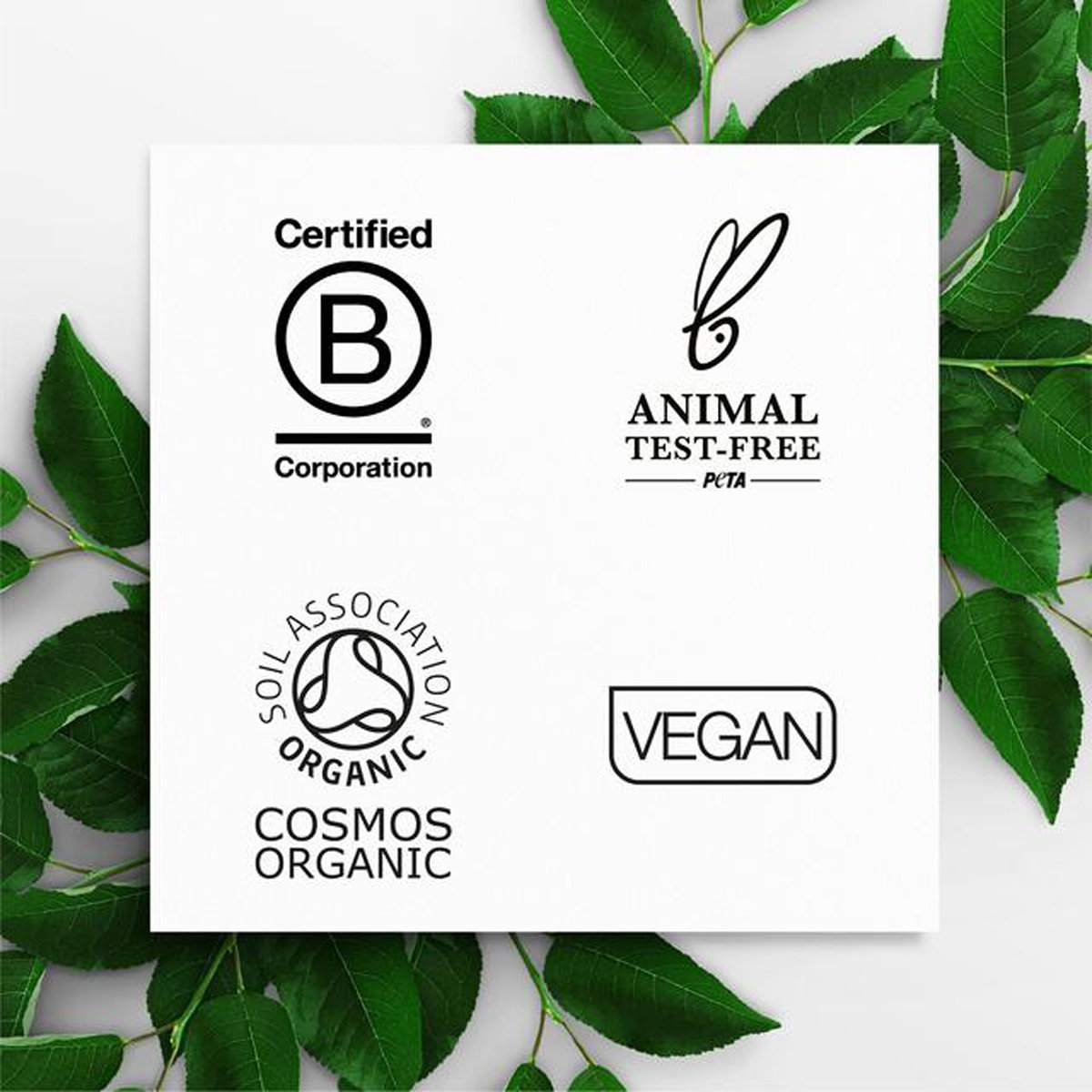 Dr. Organic Aloe Vera Shampoo, 265 ml, Pack of 1 Dr. Organic Aloe Vera Shampoo, 265 ml, Pack of 1