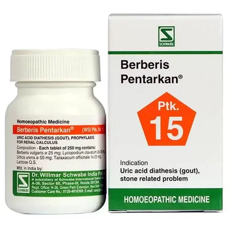 Dr.Willmar Schwabe Berberis Pentarkan Ptk.15 Tablets, 20 gm