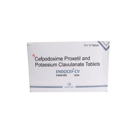 Endocef CV Tablet 10's