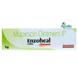 Enzoheal Ointment 5 gm