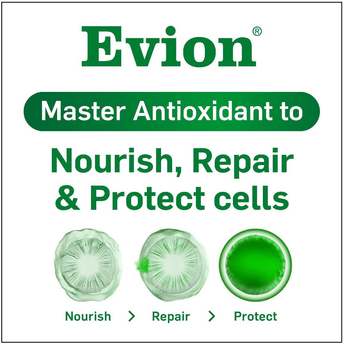 Evion 400 Capsule 20's, Pack of 20 Evion 400 Capsule 20's, Pack of 20