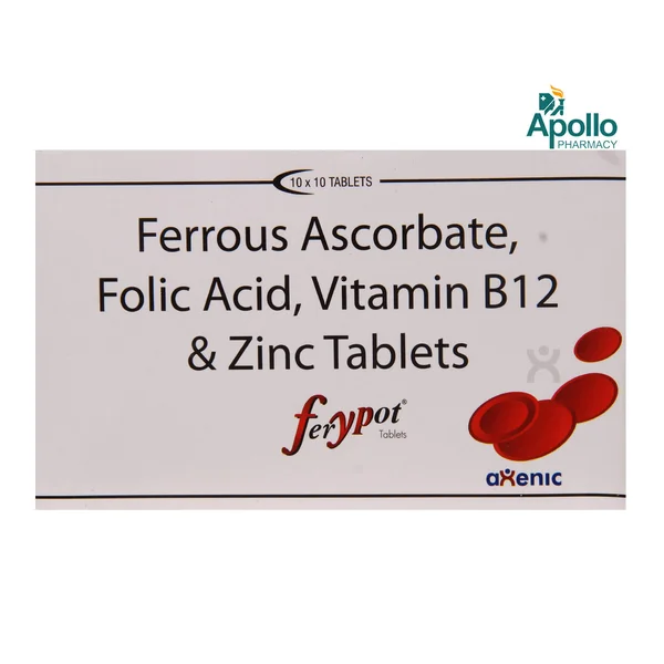 Ferypot Tablet 10's, Pack of 10 TabletS