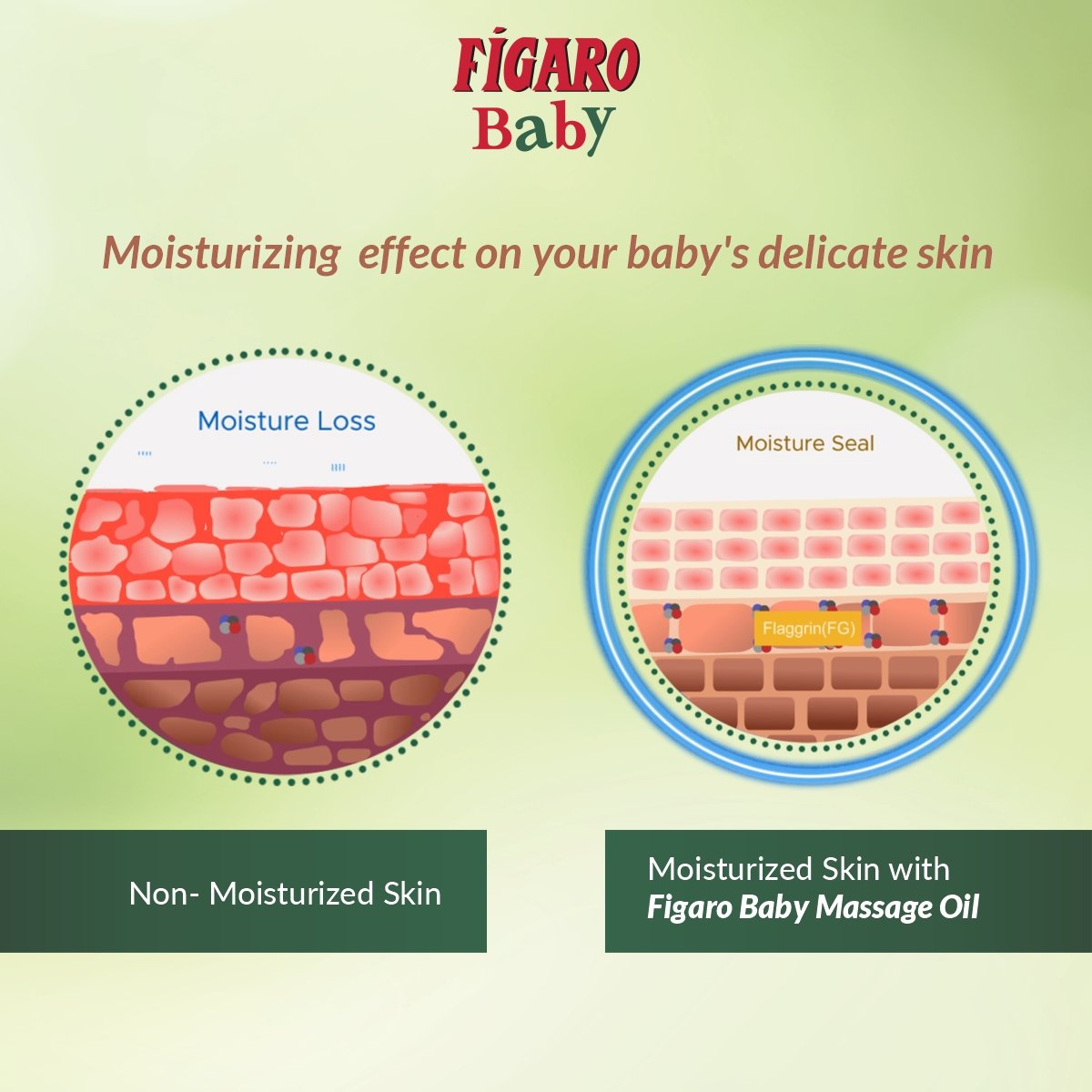 Figaro Baby Massage Oil, 200 ml, Pack of 1 Figaro Baby Massage Oil, 200 ml, Pack of 1