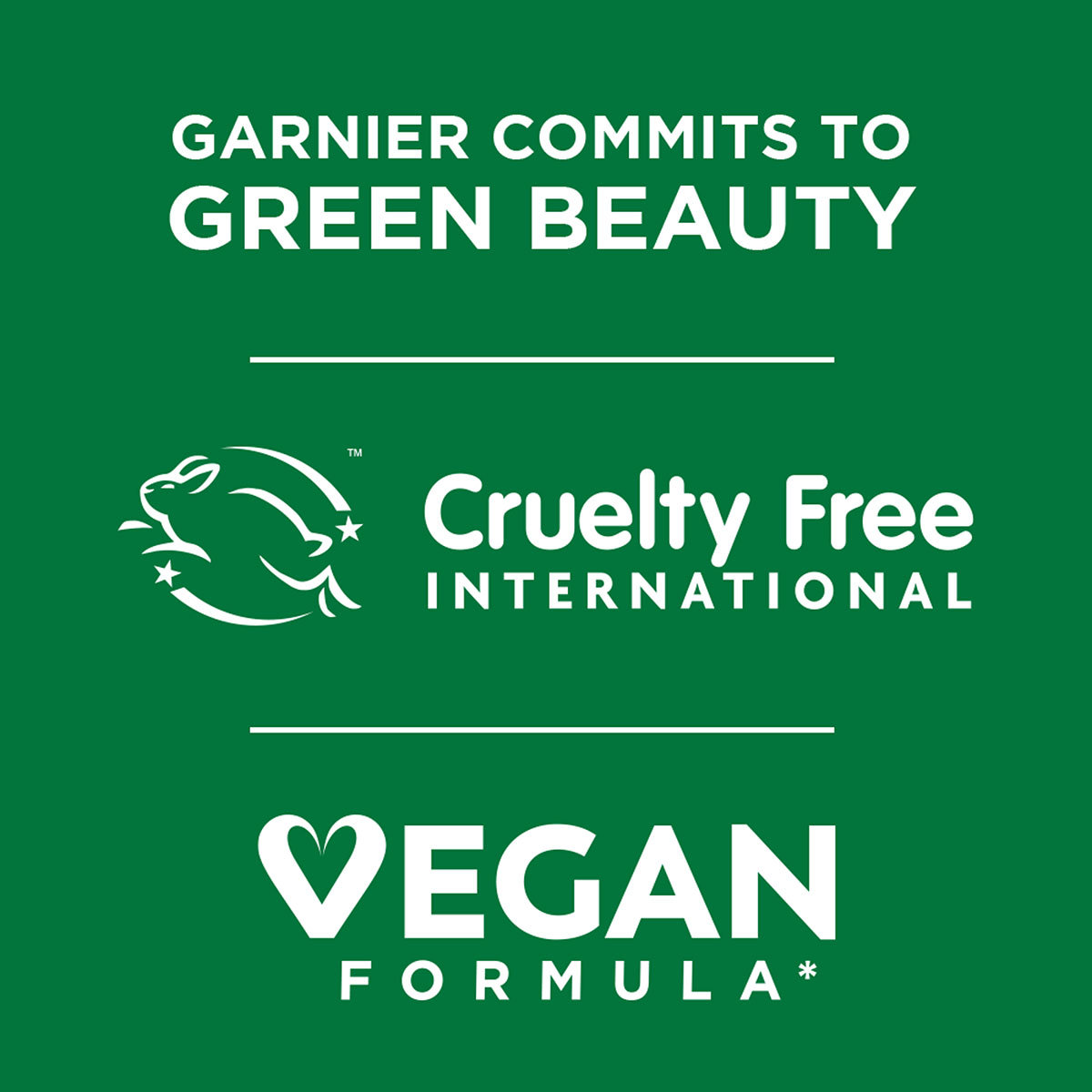 Garnier Skin Naturals Green Face Serum Sheet Mask, 28 gm, Pack of 1 Garnier Skin Naturals Green Face Serum Sheet Mask, 28 gm, Pack of 1