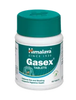 Himalaya Gasex, 100 Tablets
